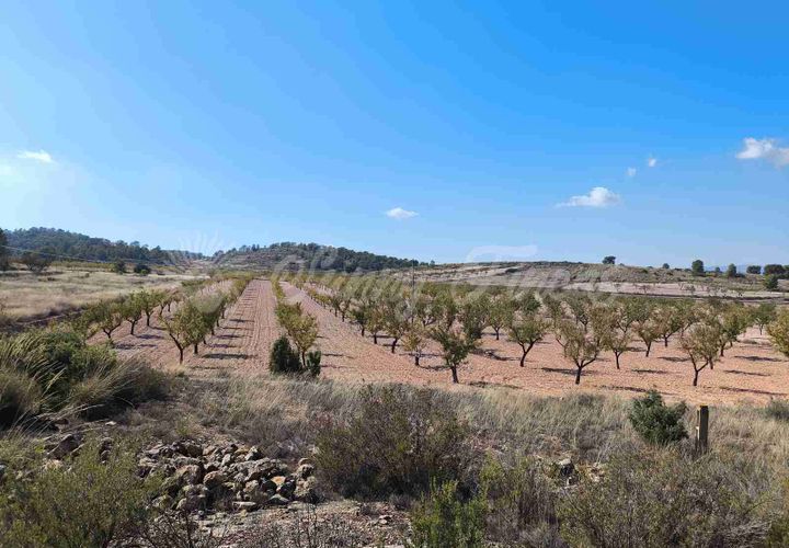 Helårsgrund i Jumilla, Murcia, Jumilla - € 29.900 | Ref: SF0544 - foto 1